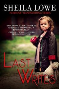 last writes by sheil lowe book cover