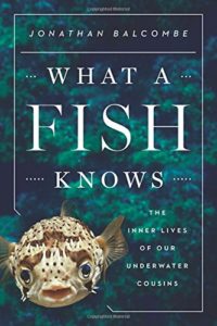 what a fish knows by jonathan balcombe