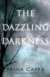 the dazzling darkness by paula cappa-min